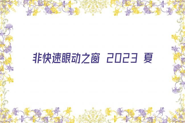 非快速眼动之窗 2023 夏剧照